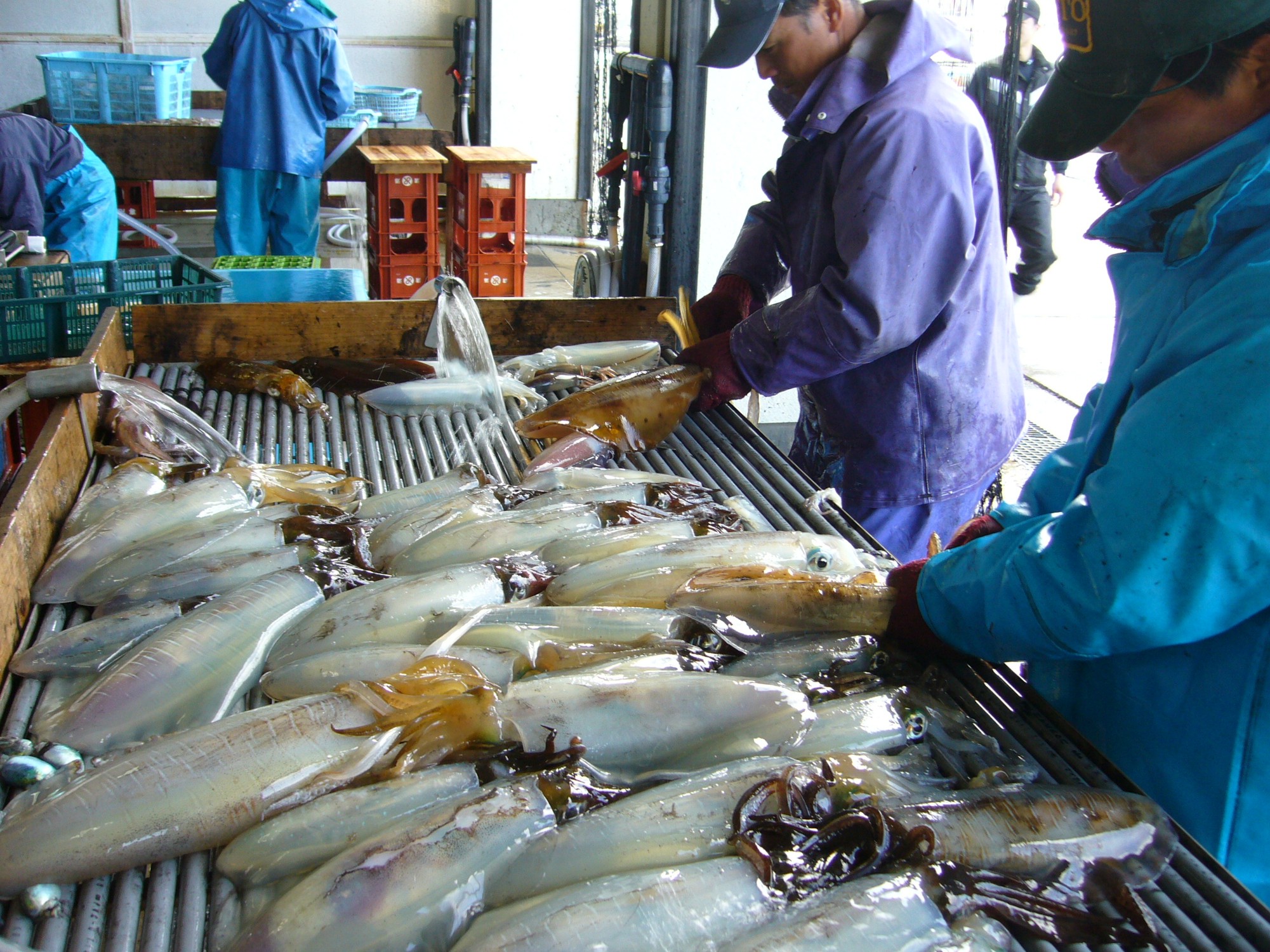 祝 世界遺産登録 潜伏キリシタンの足跡を訪ねて 長崎の島を巡る旅レポ 2 Ritokei 離島経済新聞