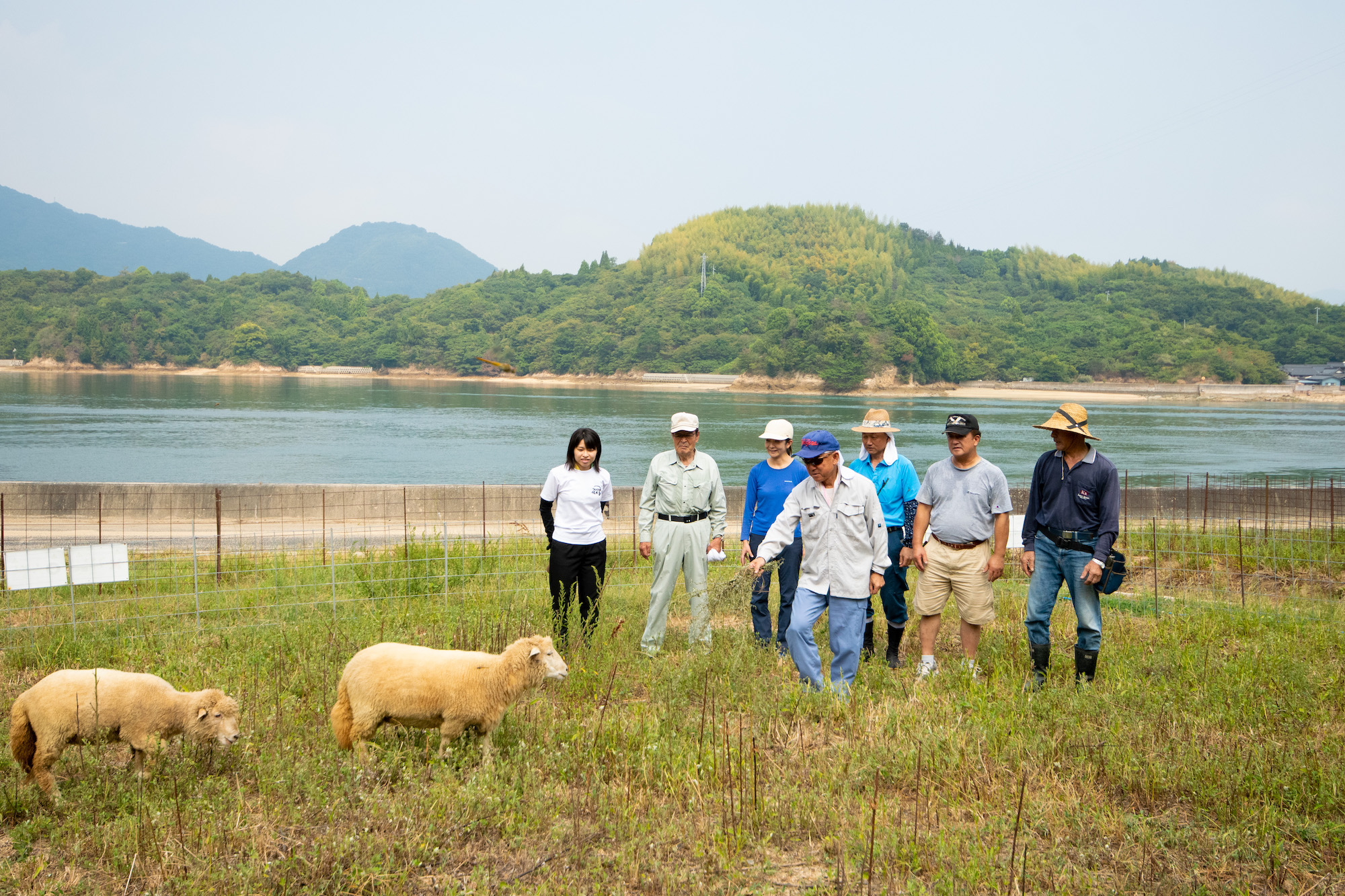 新型コロナに関する島々からの渡島自粛要請まとめ 年7月日時点 Ritokei 離島経済新聞