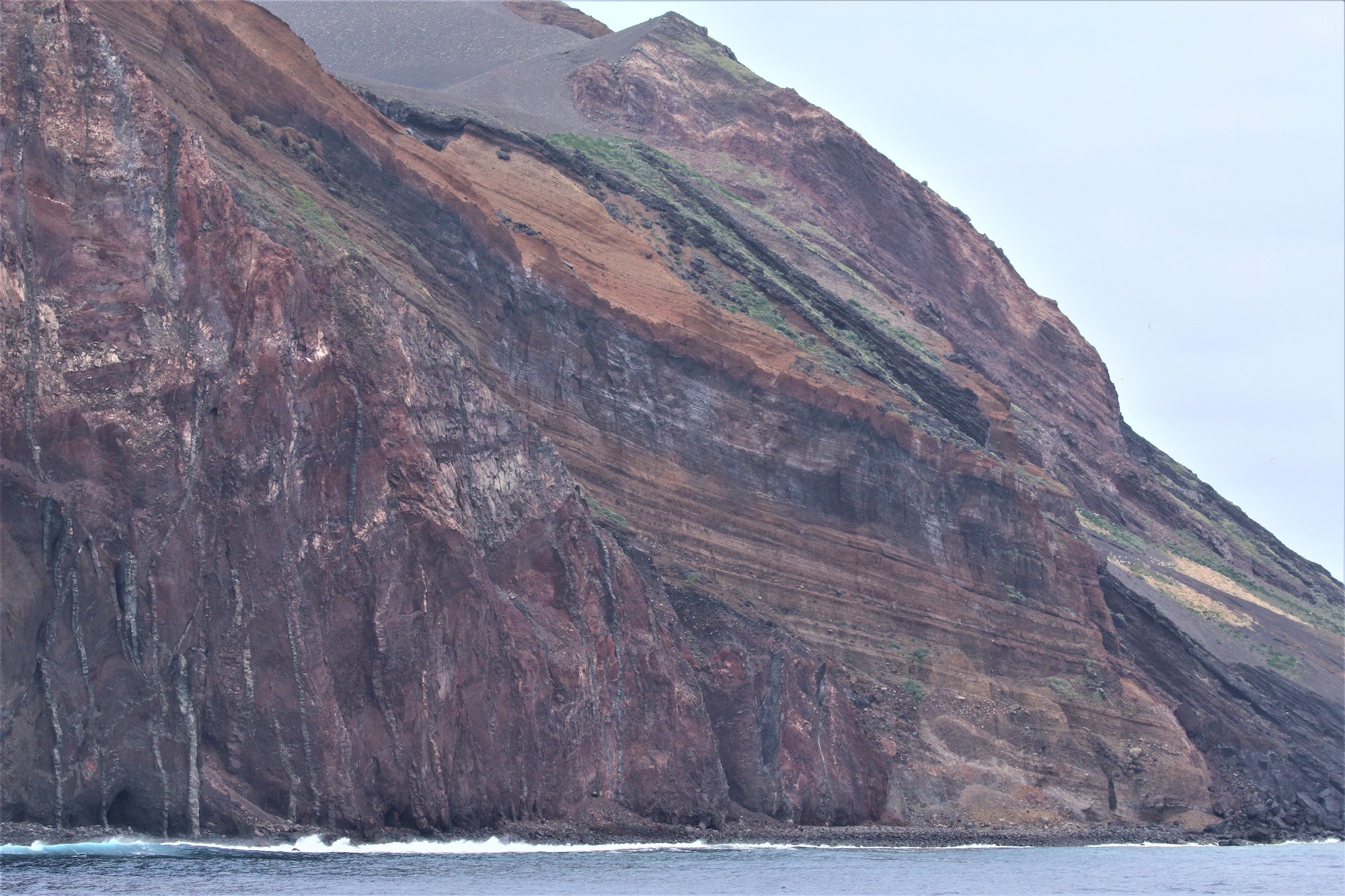 しまぐに日本の海鳥 3 島に生きる海鳥たちの危機 前編 寄稿 島と鳥を愛する研究者 平田和彦 千葉県立中央博物館 Ritokei 離島経済新聞