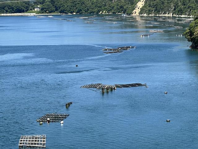 津波の被害状況