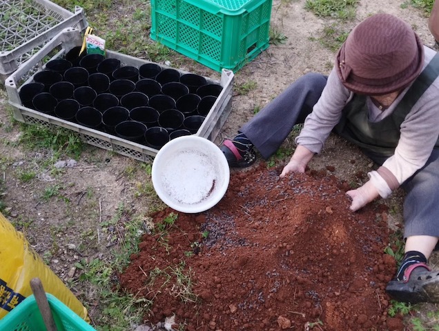 畑作業をするおばあちゃん