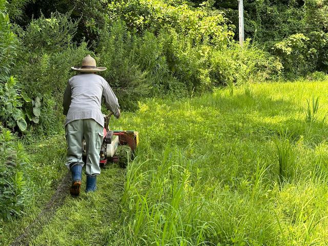 梅本さんの祖父の後ろ姿